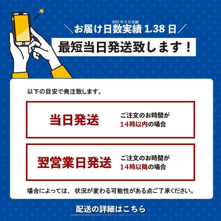 Pokemon Center 原創 變身！百變怪 毛公仔 伊布家族 比卡超 耿鬼 六尾 卡比獸 波克比 背背龍 啟暴龍 鯉魚王 電羊 夢夢 路卡利歐 圖 9