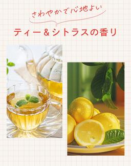 Diane Lotus 黛安蓮花 一日直順護髮乳 茶與柑橘香氣 100ml 圖 11