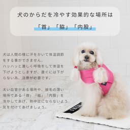 Nacol Dog 三點式寵物冷卻頸帶 wkc 圖 3