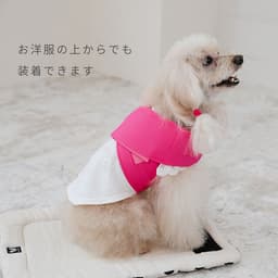 Nacol Dog 三點式寵物冷卻頸帶 wkc 圖 8