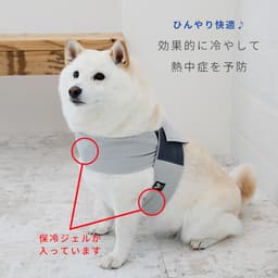 Nacol Dog 三點式寵物冷卻頸帶 wkc 圖 5