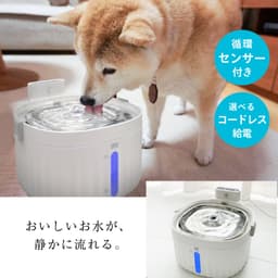 獸醫監修 超靜音無線感應不鏽鋼自動寵物飲水機 圖 7