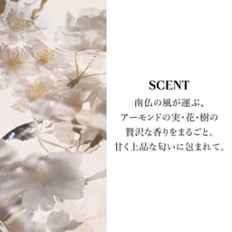 L'OCCITANE 杏仁保濕沐浴油 250ml 圖 7