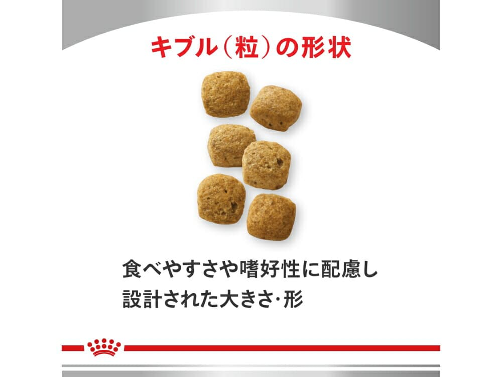 適用對象
