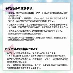Pokémon 30周年 金屬吊飾毛公仔 全7種套裝 圖 3