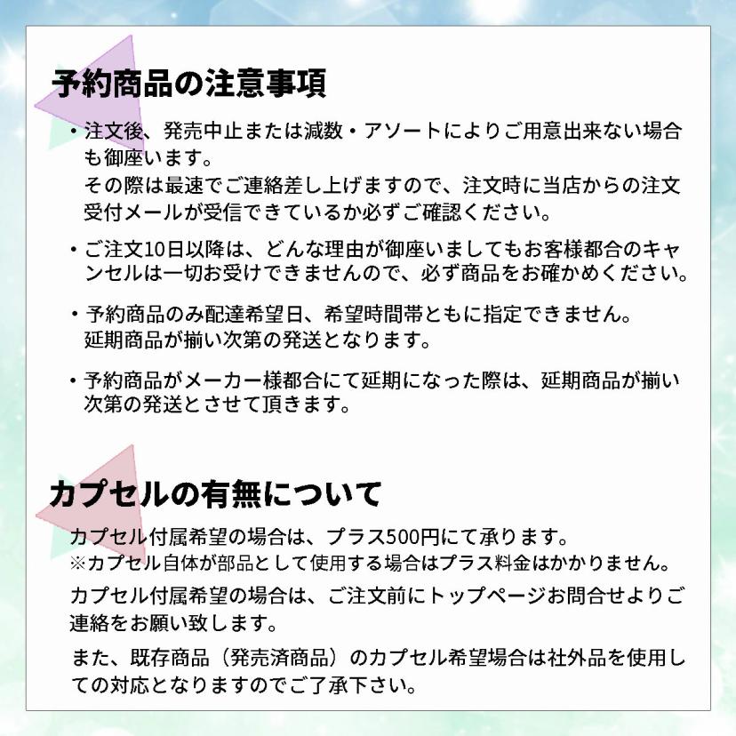 Pokémon 30周年 金屬吊飾毛公仔 全7種套裝 圖 3