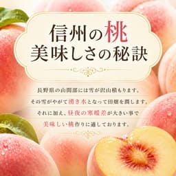 279"FOOD 信州產瑕疵瓦沙桃及油桃（家庭用） 圖 5