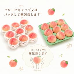 279"FOOD 信州產瑕疵瓦沙桃及油桃（家庭用） 圖 4