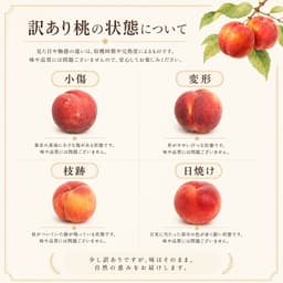 279"FOOD 信州產瑕疵瓦沙桃及油桃（家庭用） 圖 3