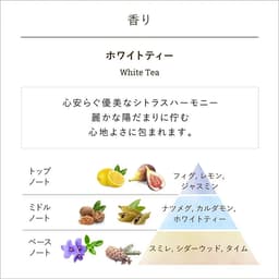 SABON 身體磨砂膏 (60g) 圖 16