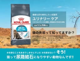 Royal Canin 皇家泌尿道護理成貓乾糧 2kg（附夾鏈袋） 圖 7