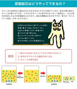 Royal Canin 皇家泌尿道護理成貓乾糧 2kg（附夾鏈袋） 圖 4