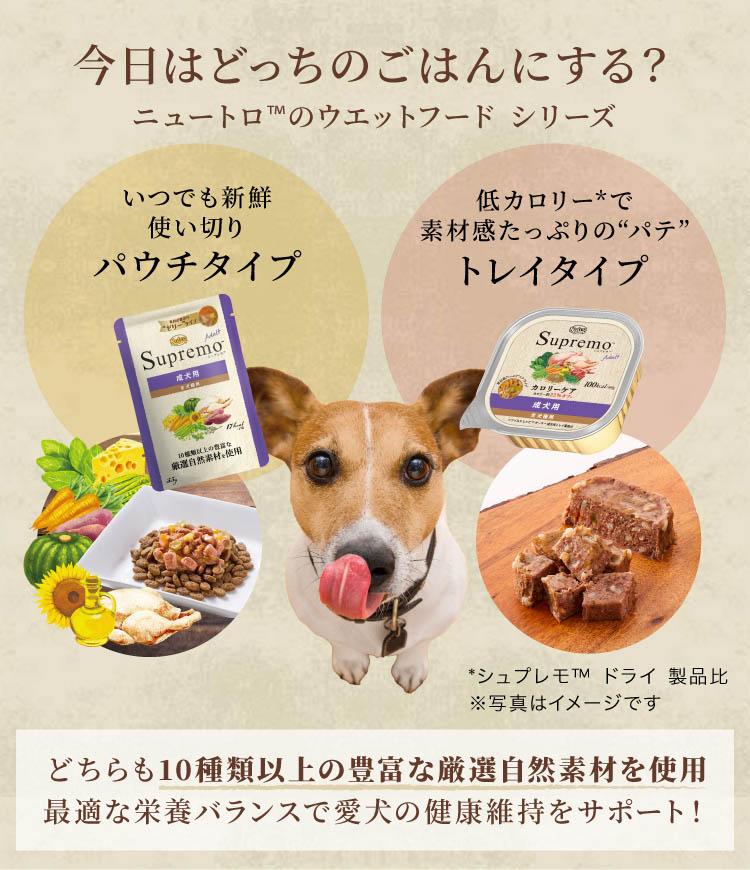 Nutro Supremo 適合超小型至小型犬，用於體重管理，3 公斤，成年犬狗糧（3 公斤） 圖 5