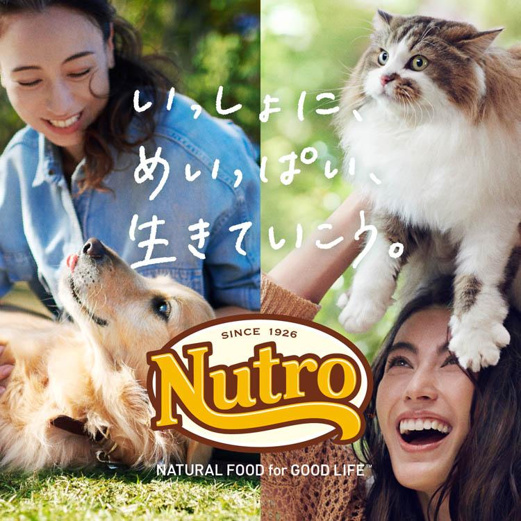 Nutro Supremo 適合超小型至小型犬，用於體重管理，3 公斤，成年犬狗糧（3 公斤） 圖 6