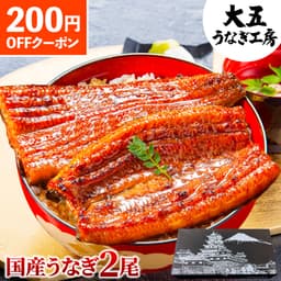大五 日本國產冷凍蒲燒鰻魚禮盒（2尾裝） 圖 2