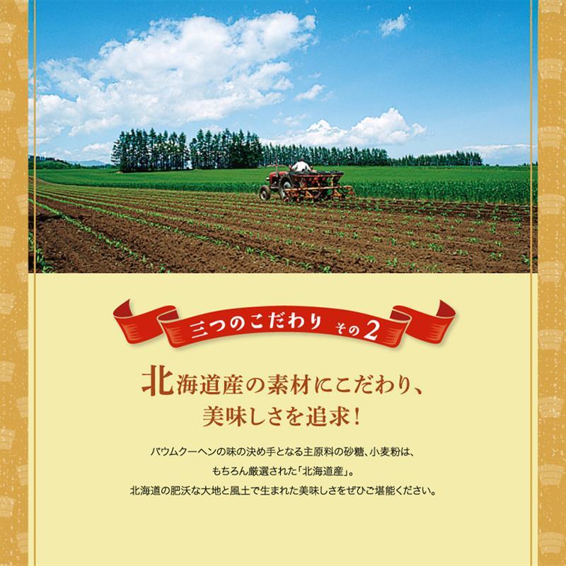 Sanporoku Kogiri Ryugetsu 柳月 三方六小割 年輪蛋糕 商品介紹 9