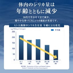 霧島產飲用矽素天然水 2L 圖 5