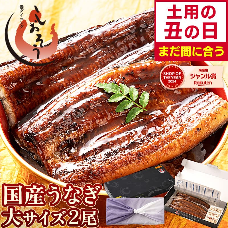 日本國產優質鰻魚