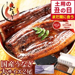 港 Dining Shioso 國產鰻魚蒲燒大尺寸禮盒（約165g×2尾） 圖 2