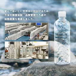 IRIS OHYAMA 富士山天然礦泉水及綠茶飲料 500毫升 48瓶組合 圖 6