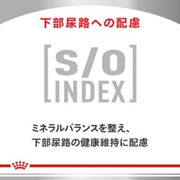 Royal Canin 貓用消化系統支援可溶性纖維乾糧 500g 圖 8