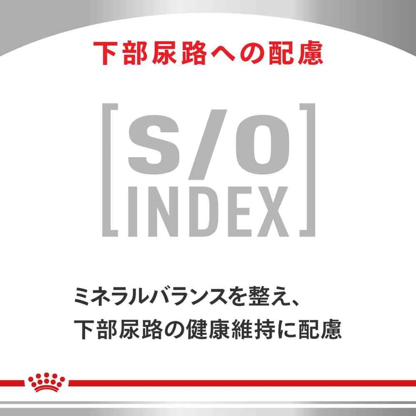 Royal Canin 貓用消化系統支援可溶性纖維乾糧 500g 圖 8