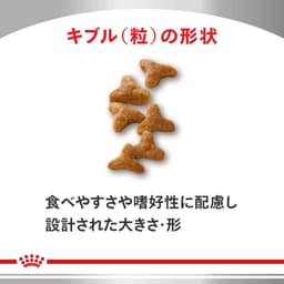 Royal Canin 貓用消化系統支援可溶性纖維乾糧 500g 圖 2