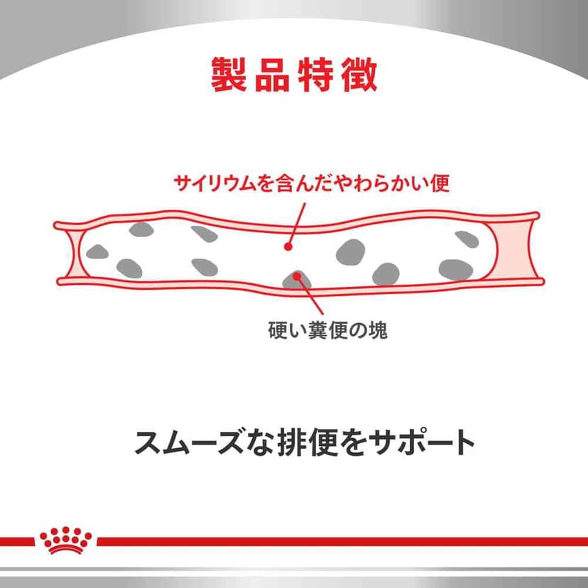 Royal Canin 貓用消化系統支援可溶性纖維乾糧 500g 圖 6