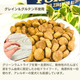 ★參加抽獎 PetKind 小粒狗糧 無添加 PetKind 青羊肚 SAP 小粒 2.72kg 狗糧 圖 3