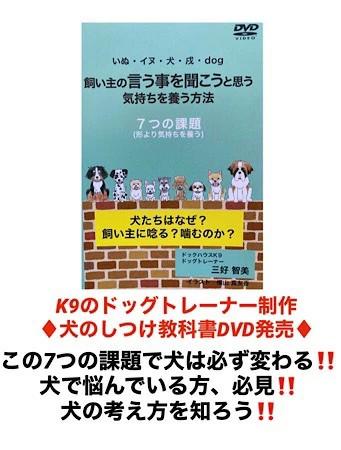 ★參加抽獎 PetKind 小粒狗糧 無添加 PetKind 青羊肚 SAP 小粒 2.72kg 狗糧 商品介紹 11