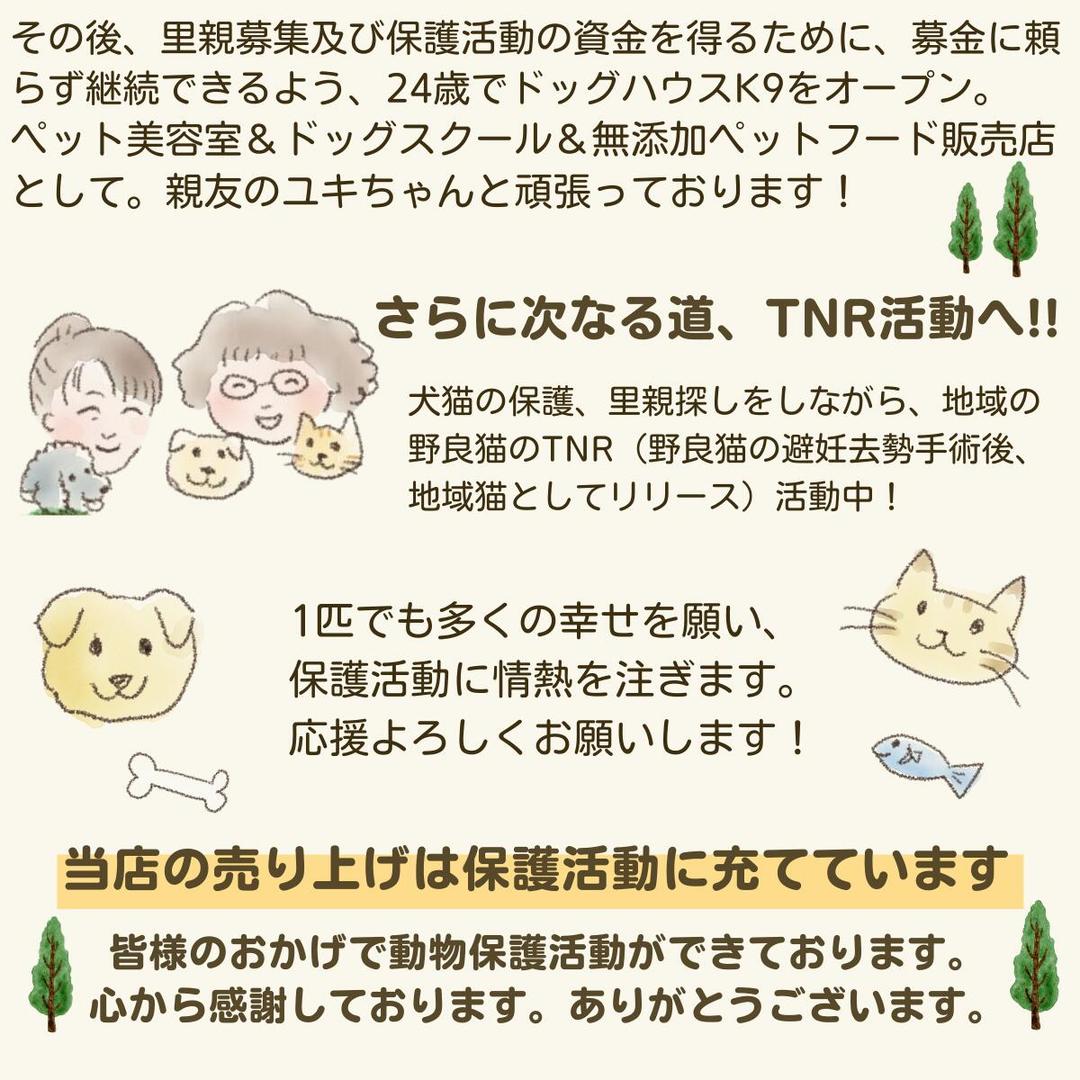 ★參加抽獎 PetKind 小粒狗糧 無添加 PetKind 青羊肚 SAP 小粒 2.72kg 狗糧 商品介紹 3