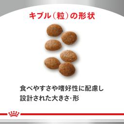 Royal Canin 療法食 猫用 尿路健康 S/O 奧爾法托里 乾糧 2kg【正規品】 圖 3
