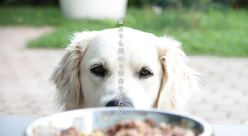 鹿肉/梅花鹿肉/鹿肉 超大容量 圖 5