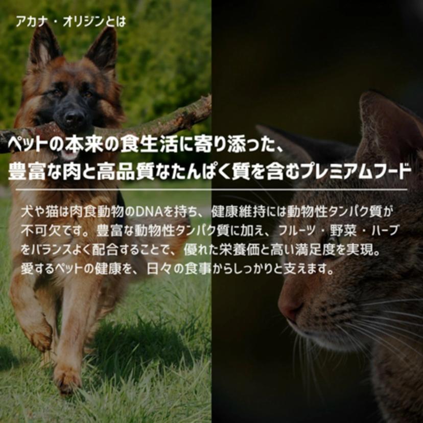 ACANA Light & Fit Recipe 所有犬種成年狗糧 11.4kg 圖 6