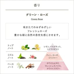 SABON 潤手霜（30毫升） 圖 21