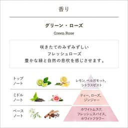 SABON 潤手霜（30毫升） 圖 7