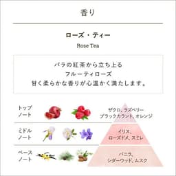SABON 潤手霜（30毫升） 圖 8