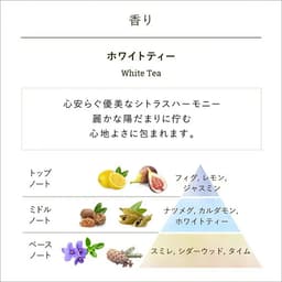 SABON 潤手霜（30毫升） 圖 9