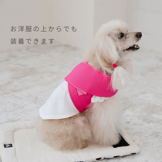 Nacol Dog 三點式寵物冷卻頸帶 wkc 圖 8