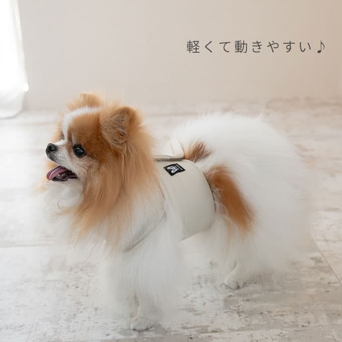 Nacol Dog 三點式寵物冷卻頸帶 wkc 圖 6