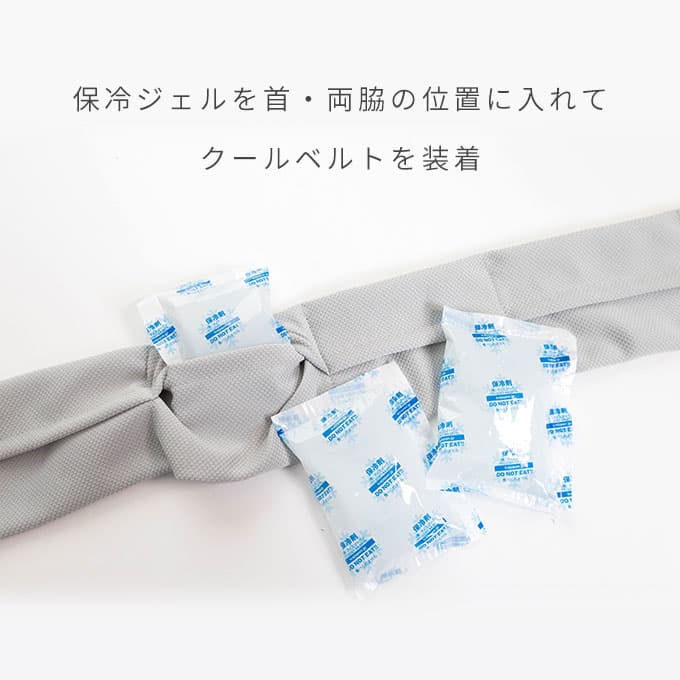Nacol Dog 三點式寵物冷卻頸帶 wkc 圖 1