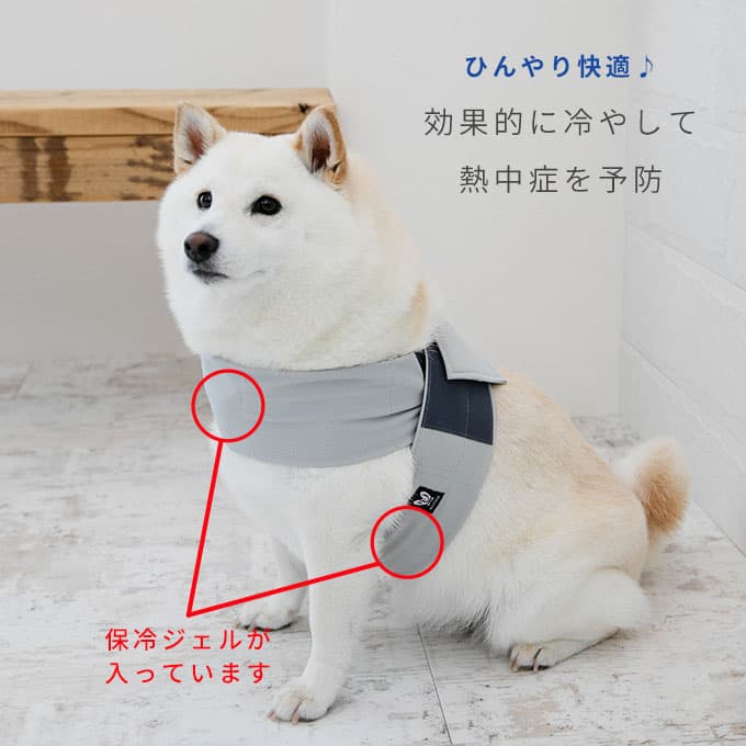 Nacol Dog 三點式寵物冷卻頸帶 wkc 圖 5