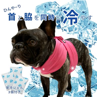 Nacol Dog 三點式寵物冷卻頸帶 wkc