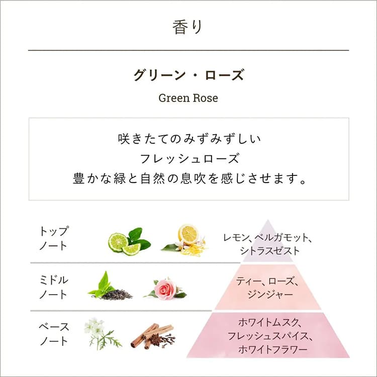 SABON 身體磨砂膏 (60g) 圖 13