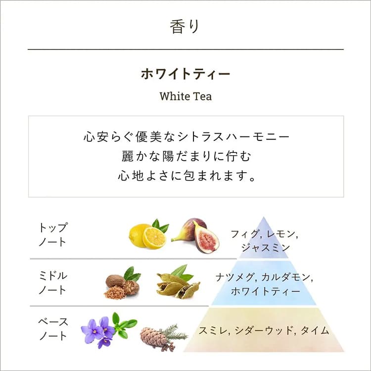 SABON 身體磨砂膏 (60g) 圖 16