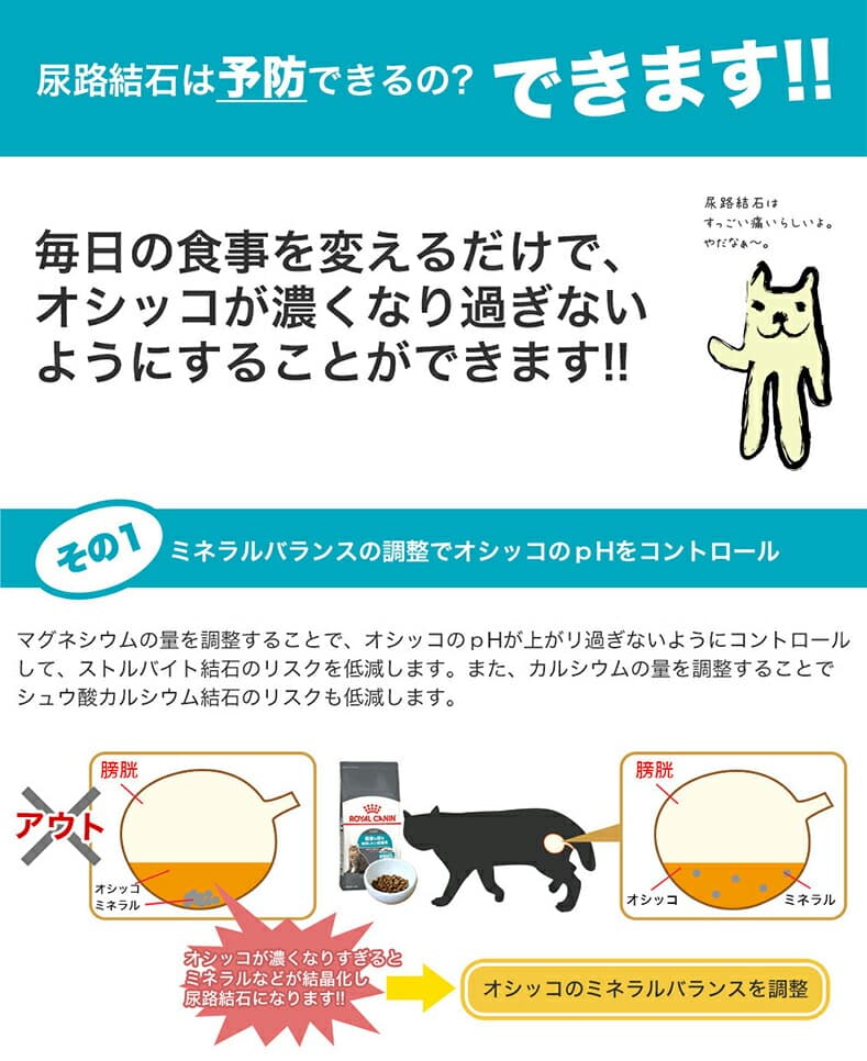 餵食注意與諮詢