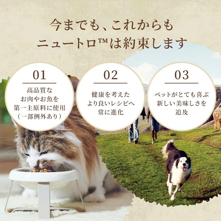 商店TOP > 狗用品 > 狗糧(乾