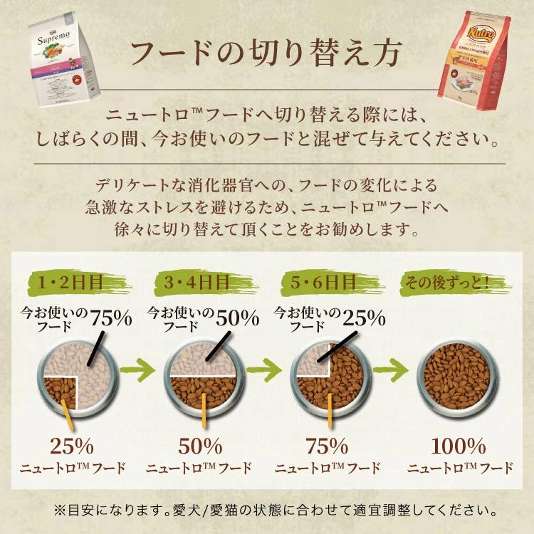 ●我們考慮到超小型至小型犬的下巴和嘴