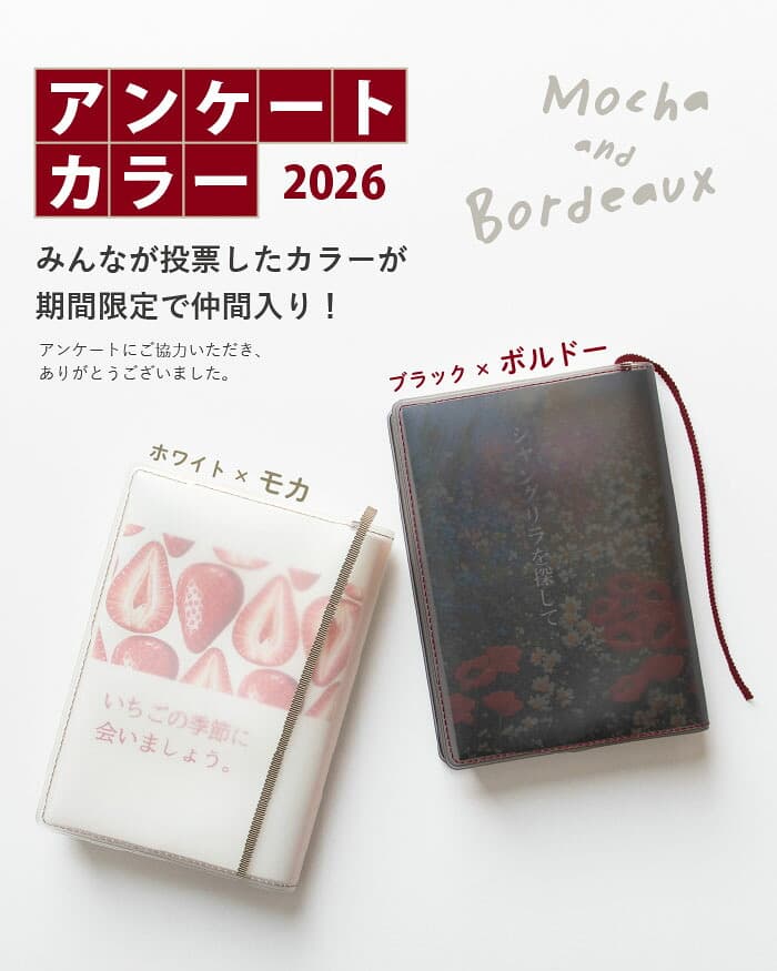 aso fog 透明書套 圖 20