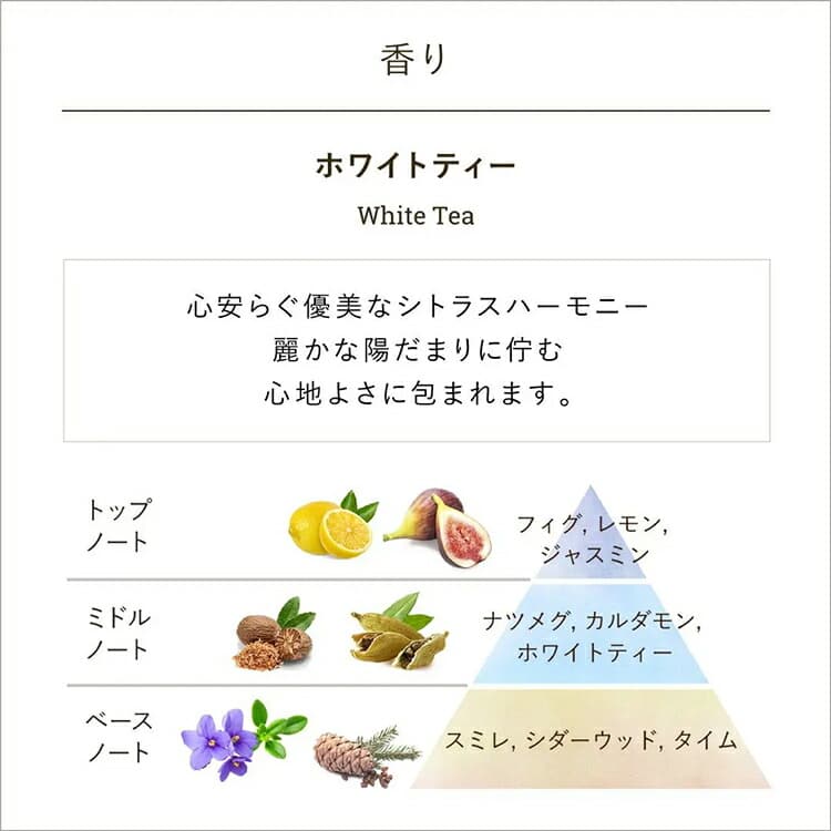 SABON 潤手霜(30毫升) 圖 9